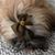 Linda Jo Wehe's profile image