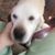 Jason Lee Davis's profile image