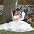 Thalia Satterfield's profile image