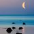 Sally Gallen Sweeney's profile image