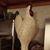 Denise Sullivan's profile image