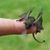 Mel Martin's profile image