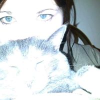 Kat Kaidan's profile image