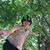Kuei-Chang Peng's profile image
