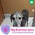 Michelle Prue Roznowski's profile image