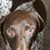 Kent Williamson's profile image