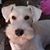 Leslie Moore's profile image