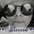 Terri Lynn Gordon's profile image