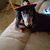 Marsha Demarco's profile image
