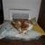 Kathleen Hannan's profile image
