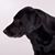 Connie Polk's profile image