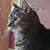 Judith Greenfield's profile image