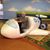 Kathy Murray Locke's profile image