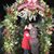 Jeff Delbert Olesen's profile image