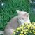 Deb Neighbors's profile image