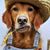 Rollie Stanchfield's profile image