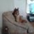 Cindy Robins Crigger's profile image