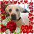 Charlette Morgan Vanover's profile image