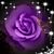 Lita Boothby's profile image