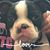 Brigette Binkowski's profile image