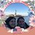 Annette Jacquemin's profile image