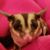 Amanda Jerry's profile image