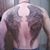 Shawn Scott's profile image