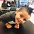 Griselda Chela Aguilar's profile image