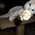 Lori Cooley's profile image