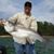Joe Bello's profile image
