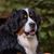 Barbara Breitsameter's profile image