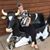 Suzanne Rigney-Busch's profile image