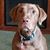 Phil Engle's profile image