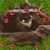 Monica M. Miller's profile image