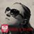 Shawna May's profile image