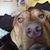 Sandy Chandler's profile image