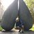 Sam Ceisler's profile image