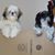 Cyndi Foglio's profile image