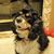 Shari Piehl's profile image