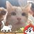 Laura Ruddy's profile image