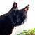 James Walter Sutherland's profile image