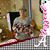 Linda Lynn's profile image