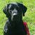Nancy Planasch's profile image