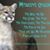 Shari Welsh's profile image