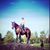 Nikki Wiens's profile image