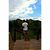 Alee Tisera's profile image