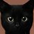 Kim Cabrera's profile image