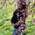 Jessica Raffaele's profile image