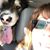 Christina Yaworski's profile image