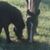 Elise Buhler's profile image